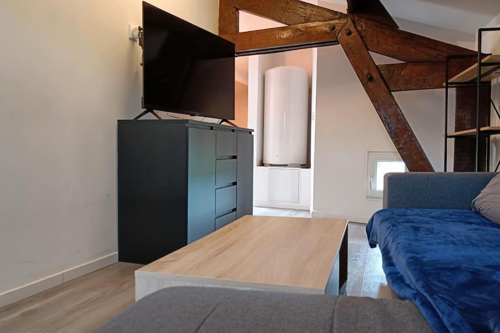 Detente - Appartement Et Poutres Apparentes Béziers Eksteriør billede